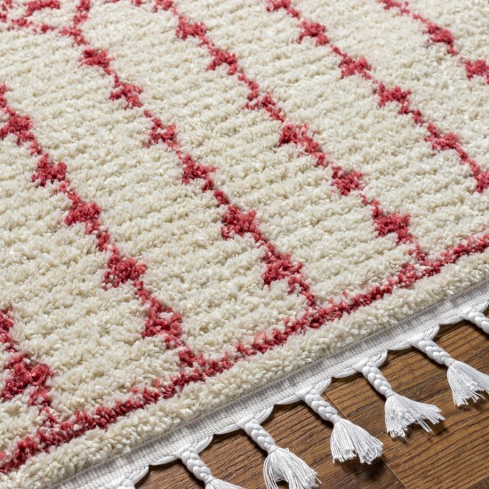 Surya Casablanca Shag Cag-2311 Rug 9'2" X 12'