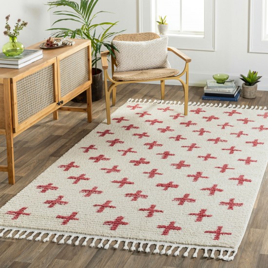 Surya Casablanca Shag Cag-2312 Rug 6'7" X 9'