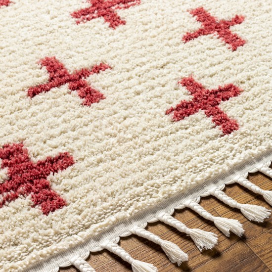 Surya Casablanca Shag Cag-2312 Rug 7'10" X 10'