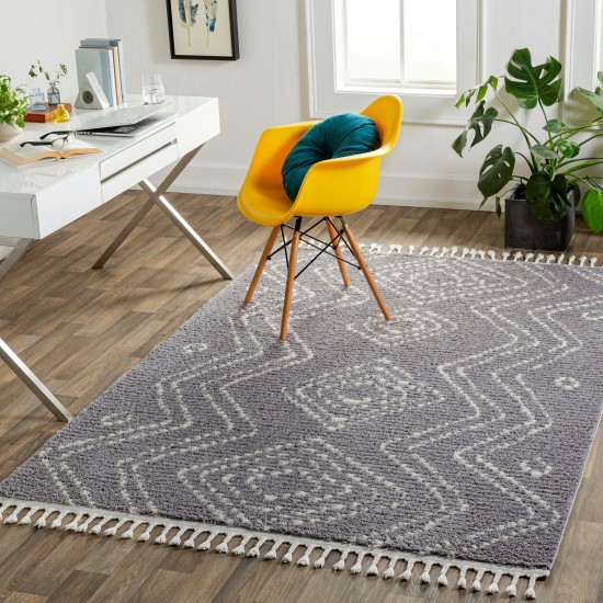 Surya Casablanca Shag Cag-2314 Rug 5'3" X 7'