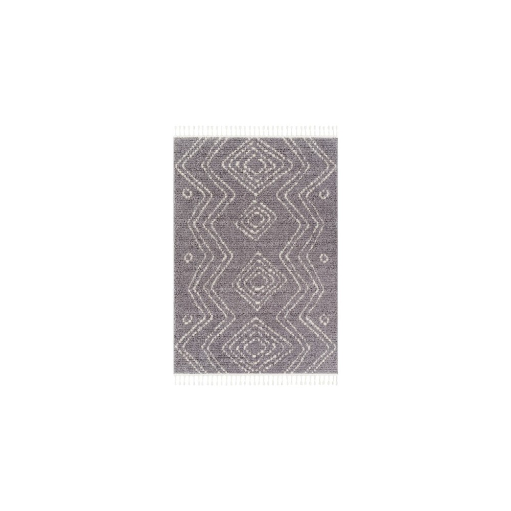 Surya Casablanca Shag Cag-2314 Rug 6'7" X 9'