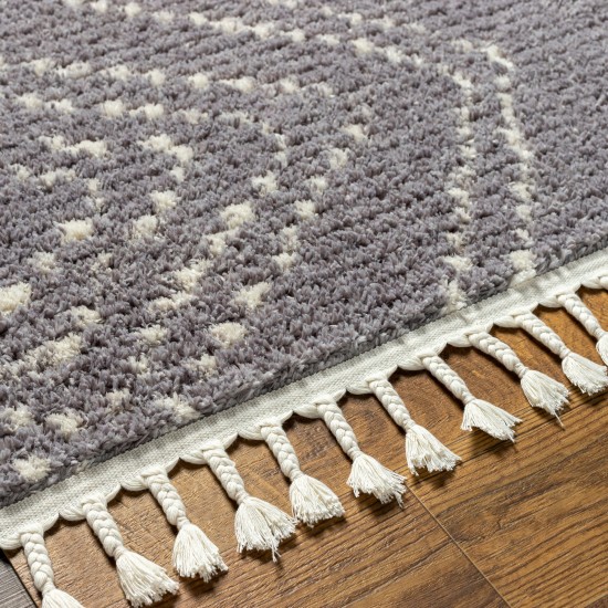 Surya Casablanca Shag Cag-2314 Rug 9'2" X 12'
