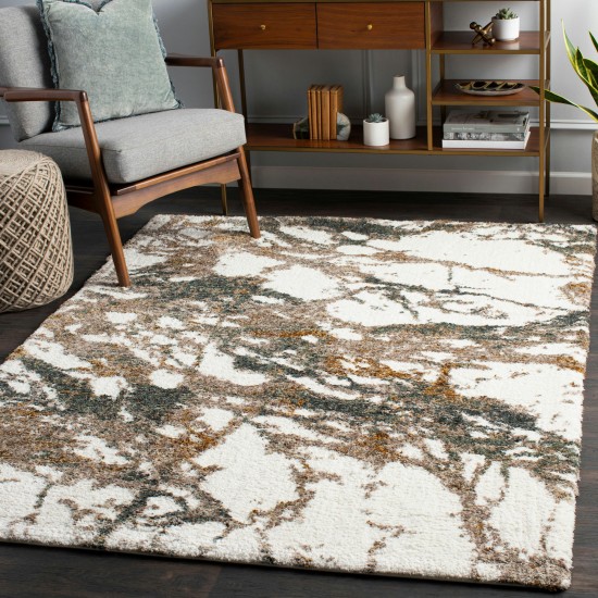 Surya Celestial Shag Cream Rug 2' X 3'