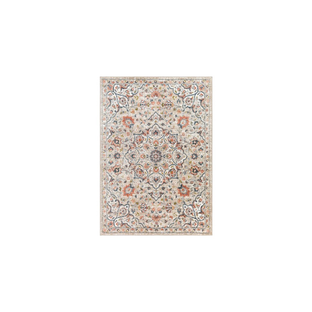 Surya Davaro Dav-2301 Rug 6'7" X 9'