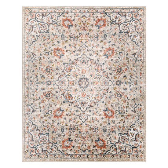 Surya Davaro Dav-2301 Rug 7'10" X 10'