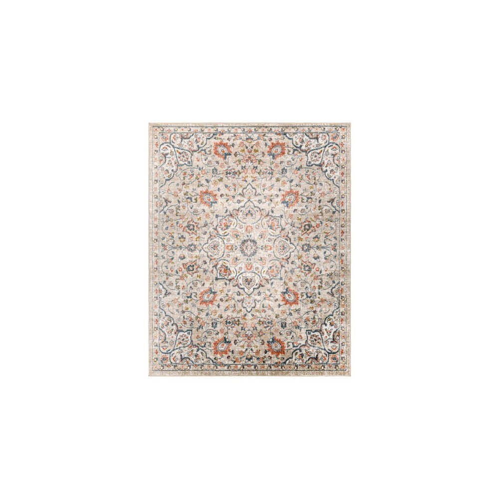 Surya Davaro Dav-2301 Rug 7'10" X 10' Surya Davaro Dav-2301 Rug 7'10" X 10'