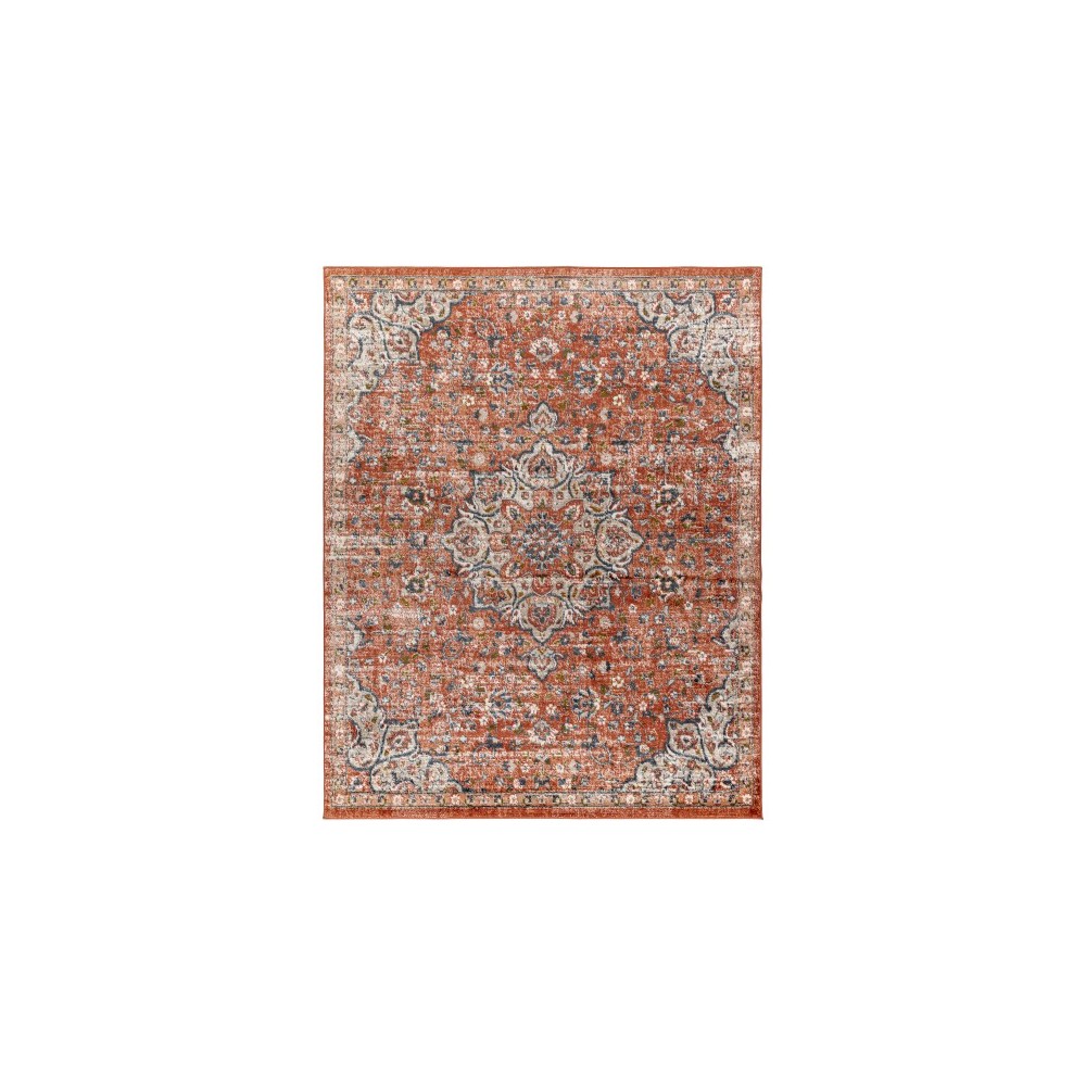 Surya Davaro Dav-2302 Rug 7'10" X 10'