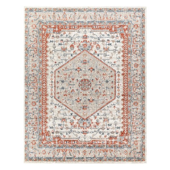 Surya Davaro Dav-2306 Rug 7'10" X 10'