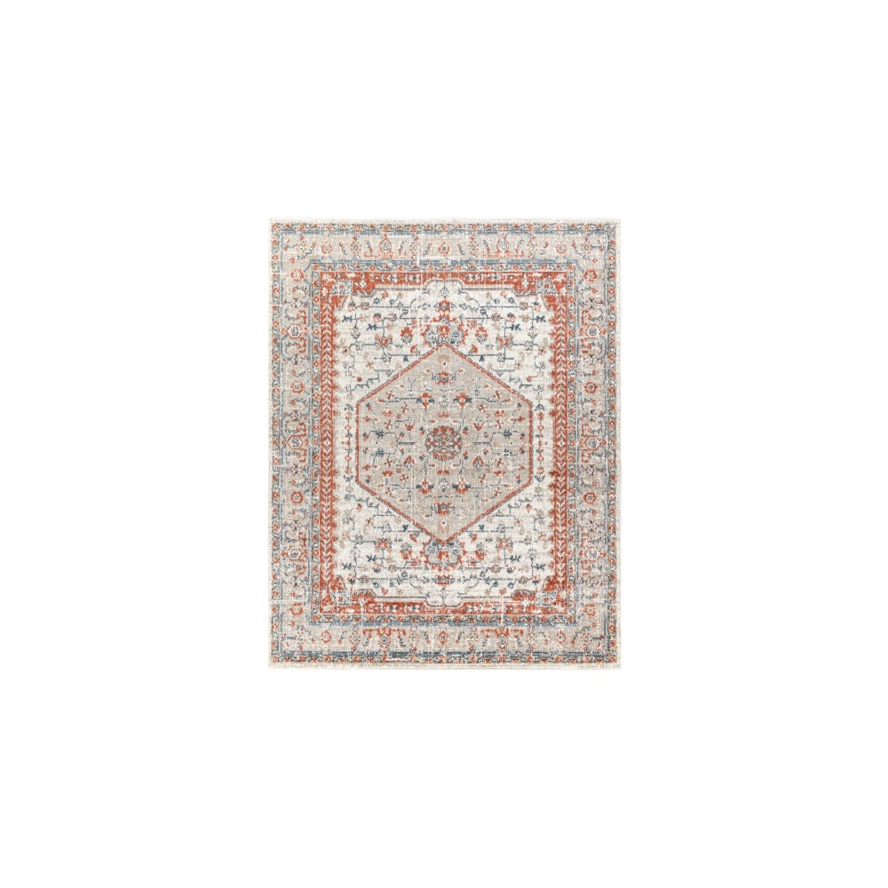 Surya Davaro Dav-2306 Rug 7'10" X 10'