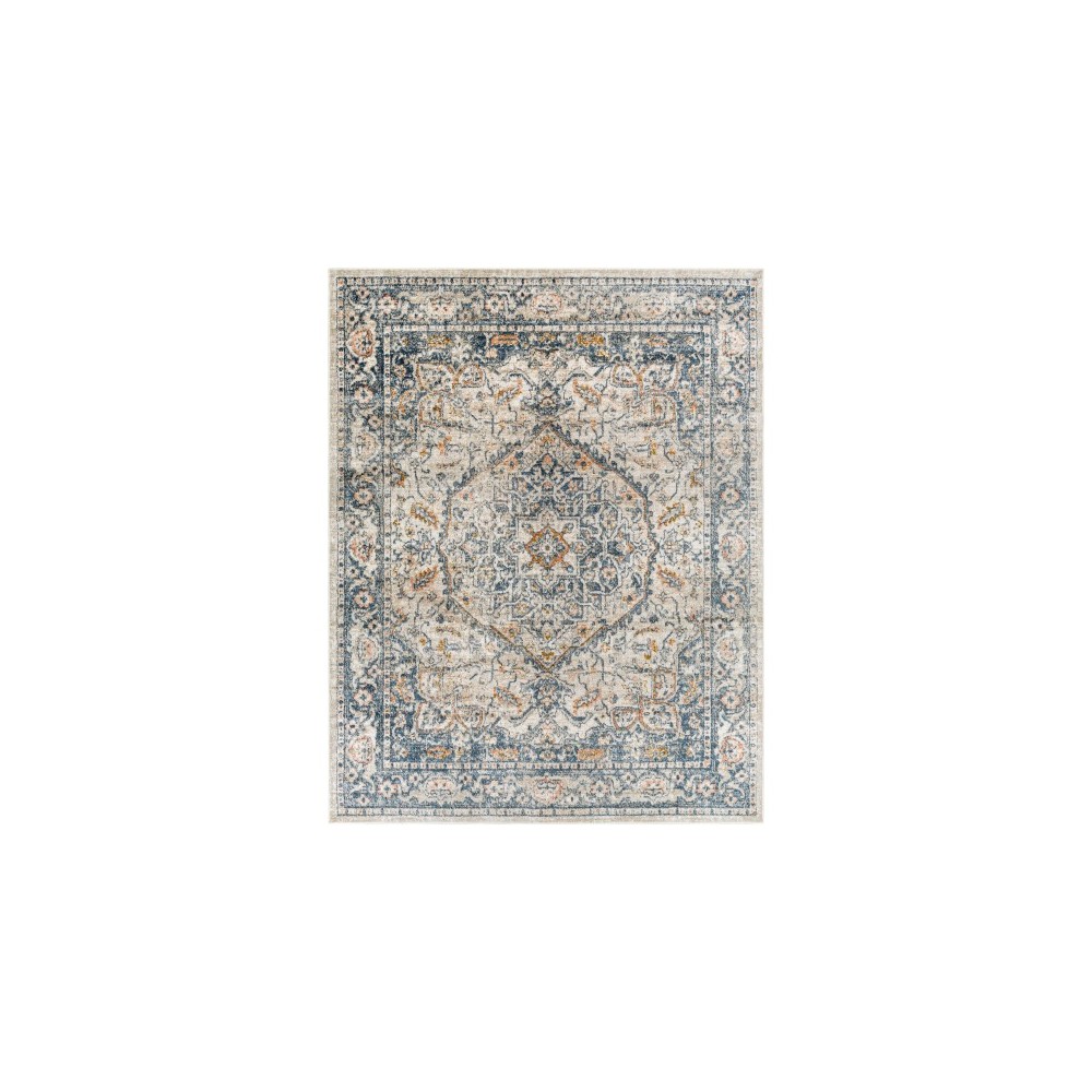 Surya Davaro Dav-2308 Rug 7'10" X 10' Surya Davaro Dav-2308 Rug 7'10" X 10'