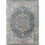 Surya Davaro Dav-2310 Rug 6'7" X 9'