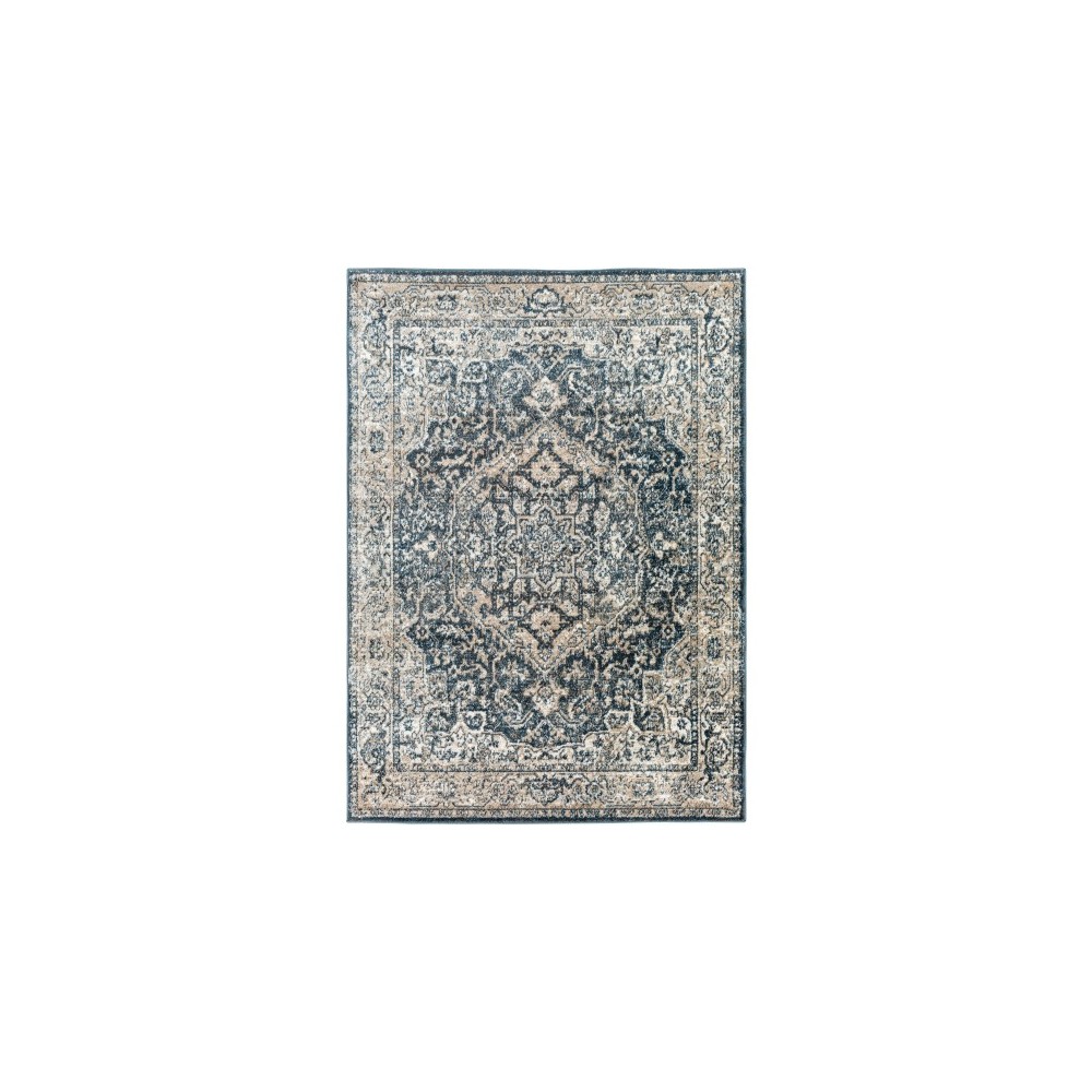 Surya Davaro Dav-2310 Rug 6'7" X 9'