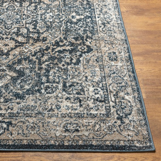 Surya Davaro Dav-2310 Rug 6'7" X 9'