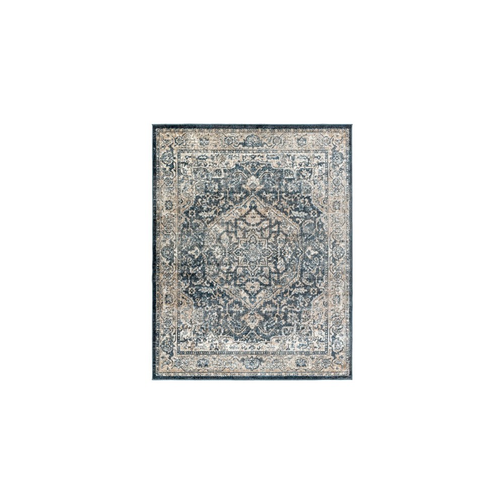 Surya Davaro Dav-2310 Rug 7'10" X 10'