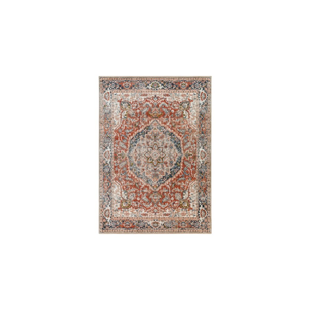 Surya Davaro Dav-2311 Rug 5'3" X 7'