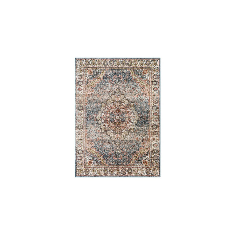 Surya Davaro Dav-2312 Rug 5'3" X 7' Surya Davaro Dav-2312 Rug 5'3" X 7'