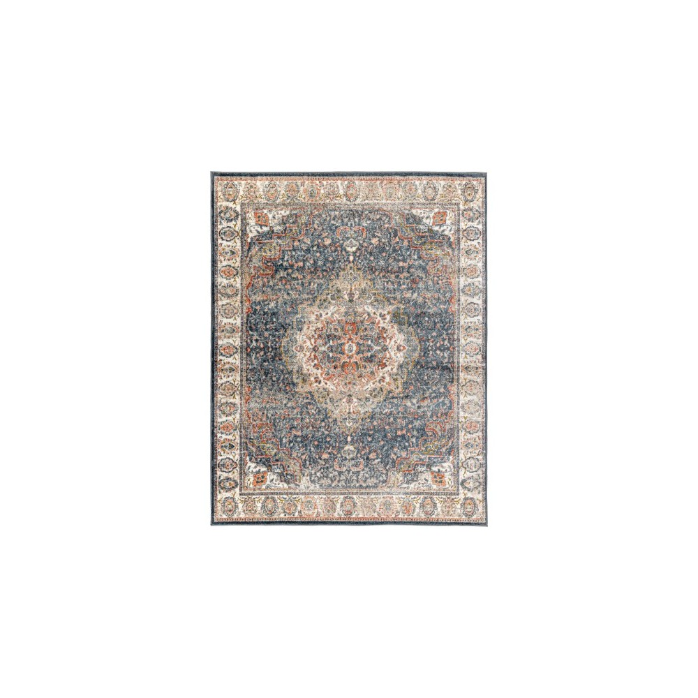 Surya Davaro Dav-2313 Rug 7'10" X 10'