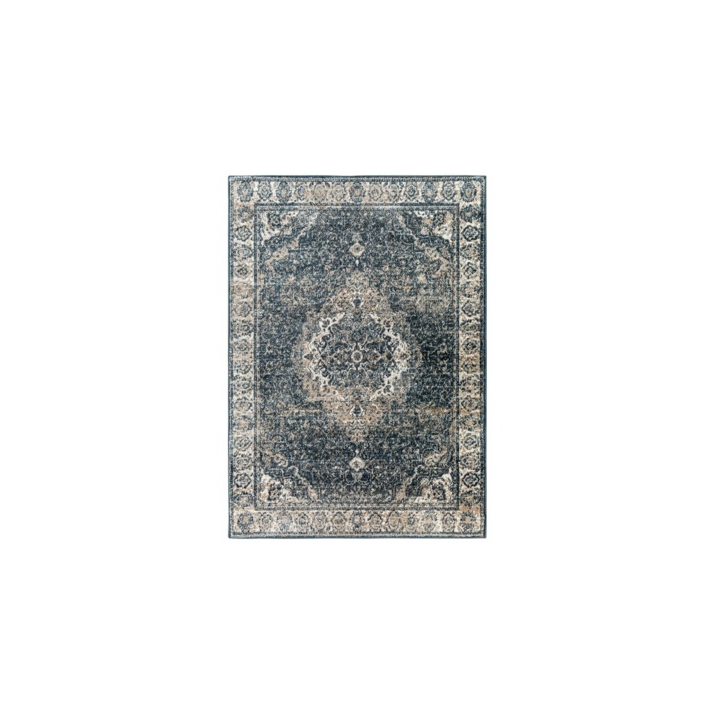 Surya Davaro Dav-2314 Rug 5'3" X 7' Surya Davaro Dav-2314 Rug 5'3" X 7'