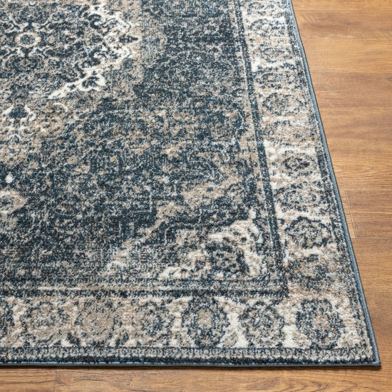 Surya Davaro Dav-2314 Rug 5'3" X 7'