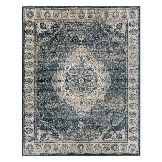 Surya Davaro Dav-2314 Rug 7'10" X 10'