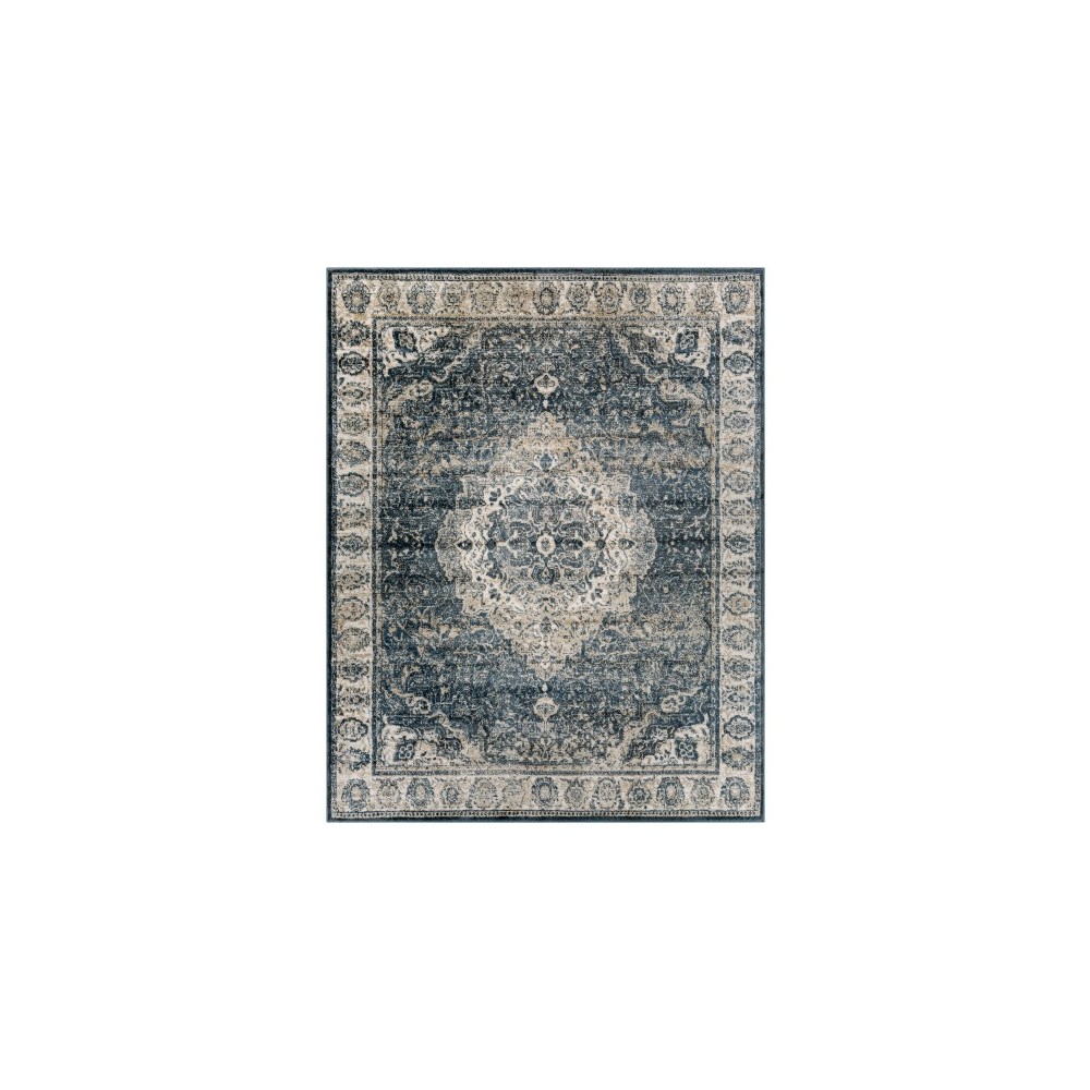 Surya Davaro Dav-2314 Rug 7'10" X 10'