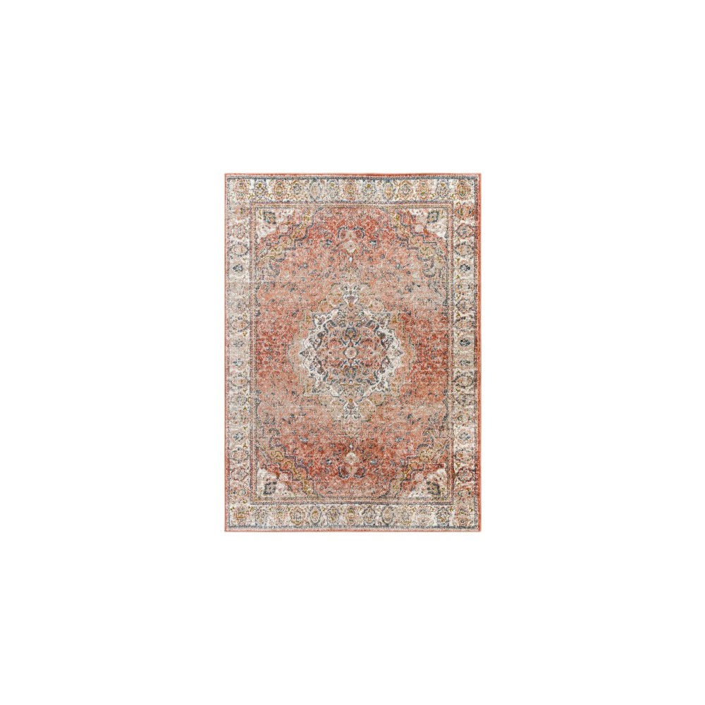 Surya Davaro Dav-2315 Rug 6'7" X 9'