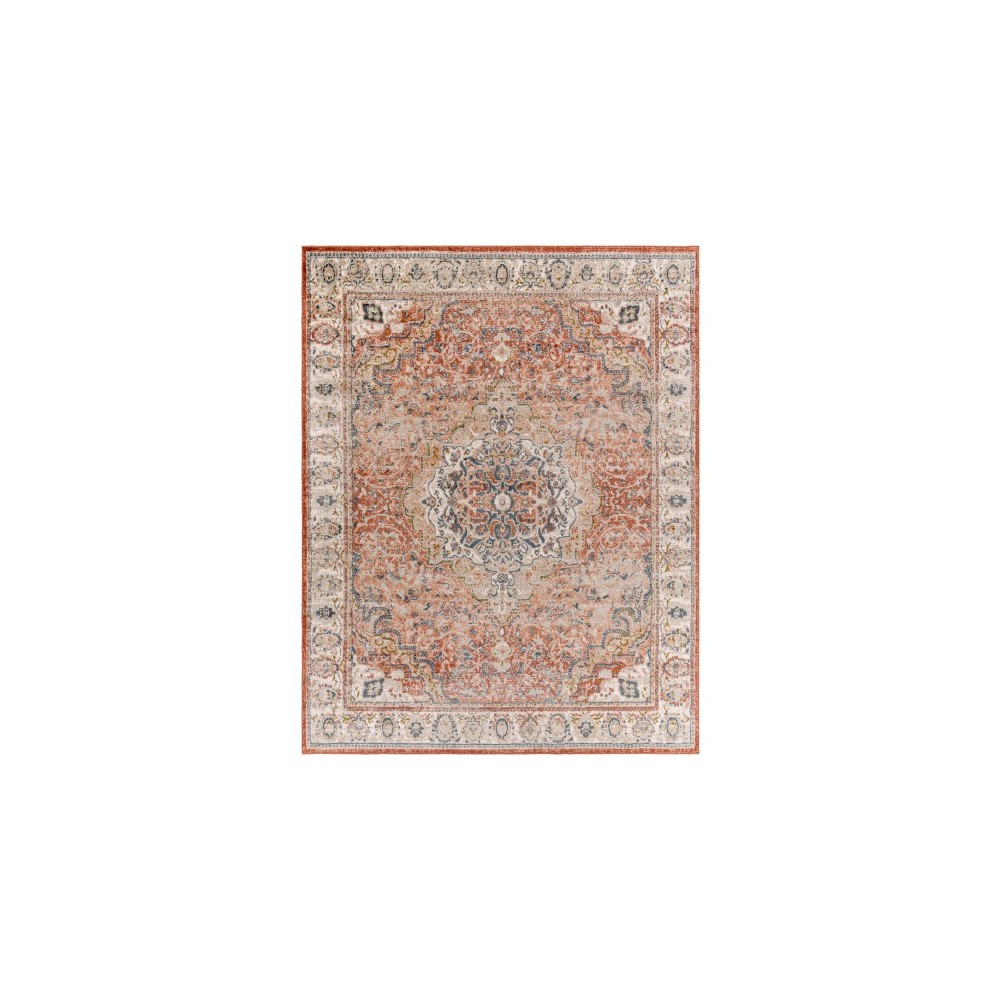 Surya Davaro Dav-2315 Rug 7'10" X 10' Surya Davaro Dav-2315 Rug 7'10" X 10'