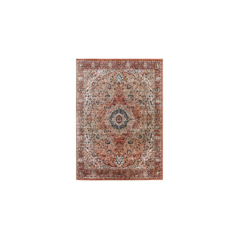 Surya Davaro Dav-2316 Rug 5'3" X 7'