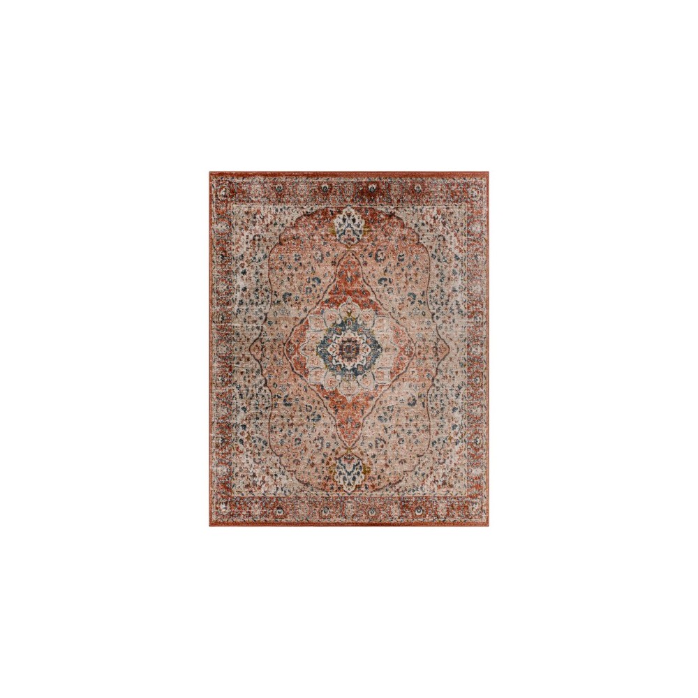 Surya Davaro Dav-2316 Rug 7'10" X 10' Surya Davaro Dav-2316 Rug 7'10" X 10'
