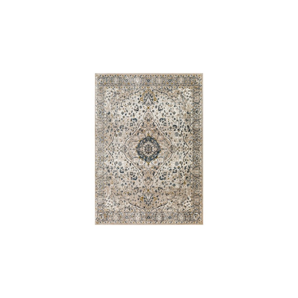 Surya Davaro Dav-2318 Rug 5'3" X 7' Surya Davaro Dav-2318 Rug 5'3" X 7'