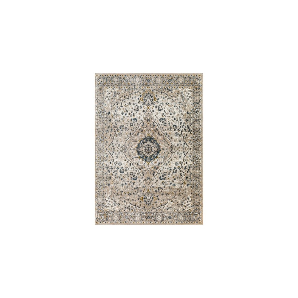 Surya Davaro Dav-2318 Rug 6'7" X 9'