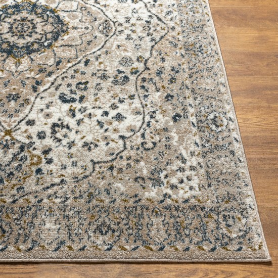 Surya Davaro Dav-2318 Rug 6'7" X 9'