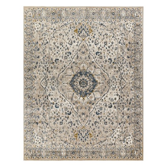 Surya Davaro Dav-2318 Rug 7'10" X 10'