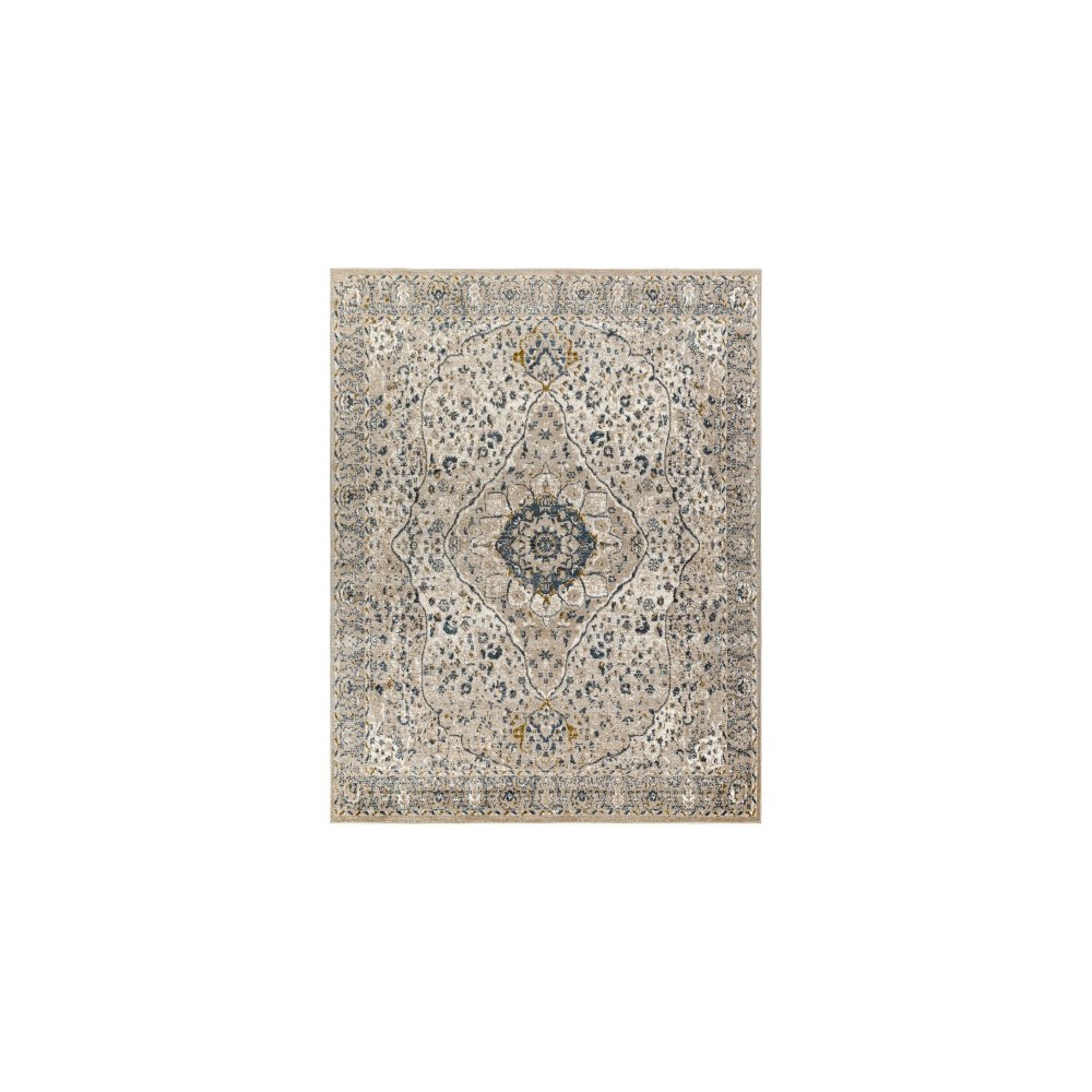 Surya Davaro Dav-2318 Rug 7'10" X 10'