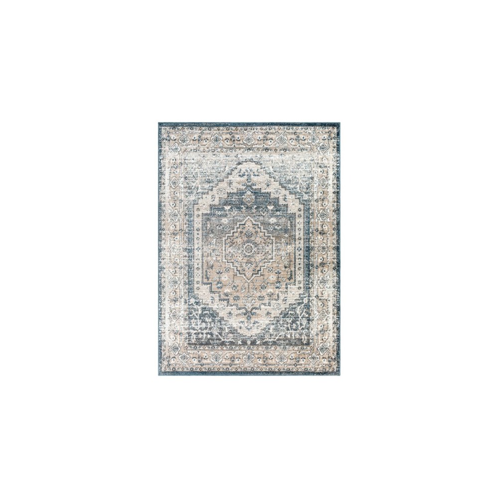 Surya Davaro Dav-2319 Rug 6'7" X 9'