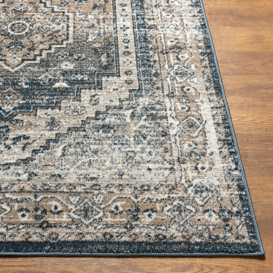 Surya Davaro Dav-2319 Rug 6'7" X 9'