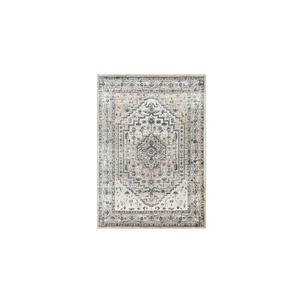 Surya Davaro Dav-2320 Rug 5'3" X 7'