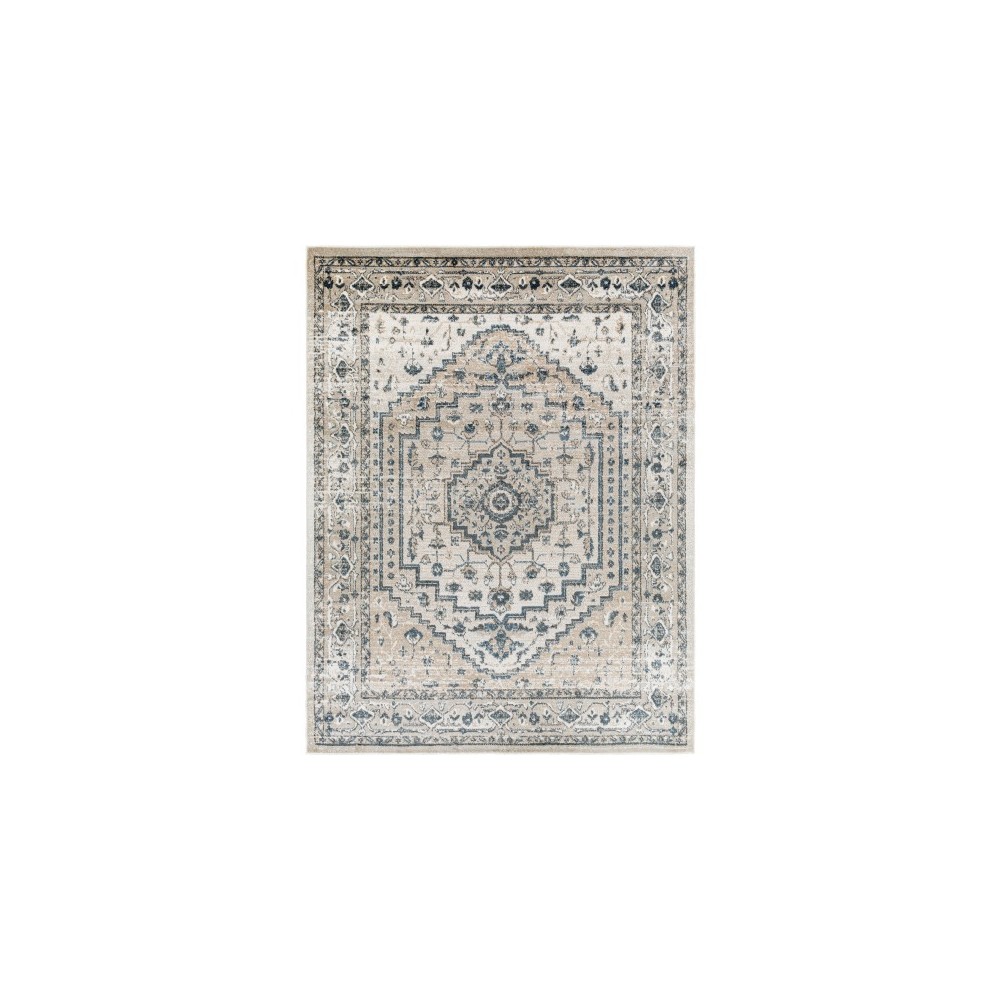 Surya Davaro Dav-2320 Rug 7'10" X 10' Surya Davaro Dav-2320 Rug 7'10" X 10'