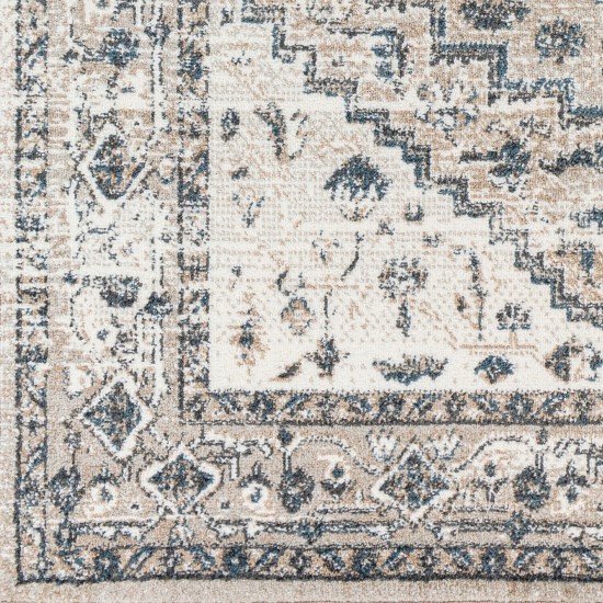 Surya Davaro Dav-2320 Rug 9'2" X 12'