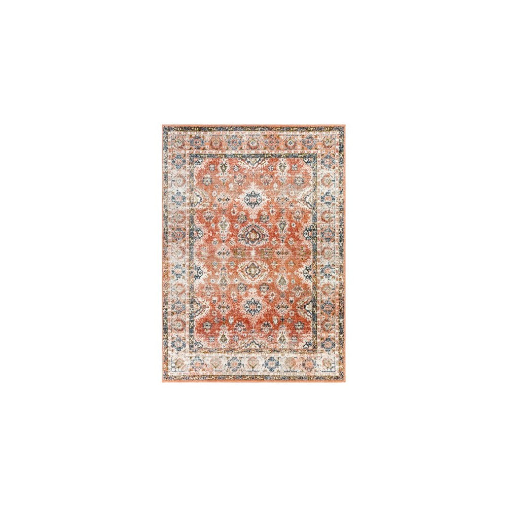 Surya Davaro Dav-2324 Rug 5'3" X 7' Surya Davaro Dav-2324 Rug 5'3" X 7'