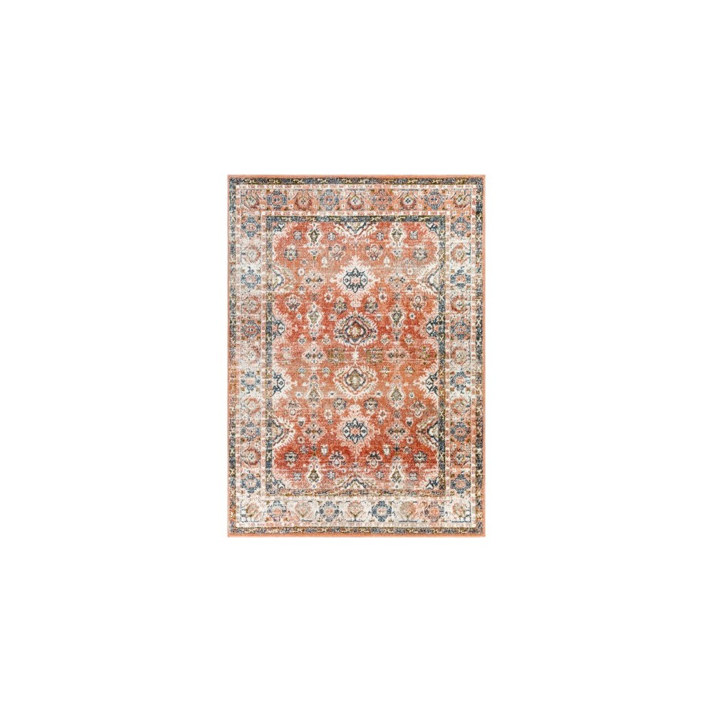 Surya Davaro Dav-2324 Rug 6'7" X 9'