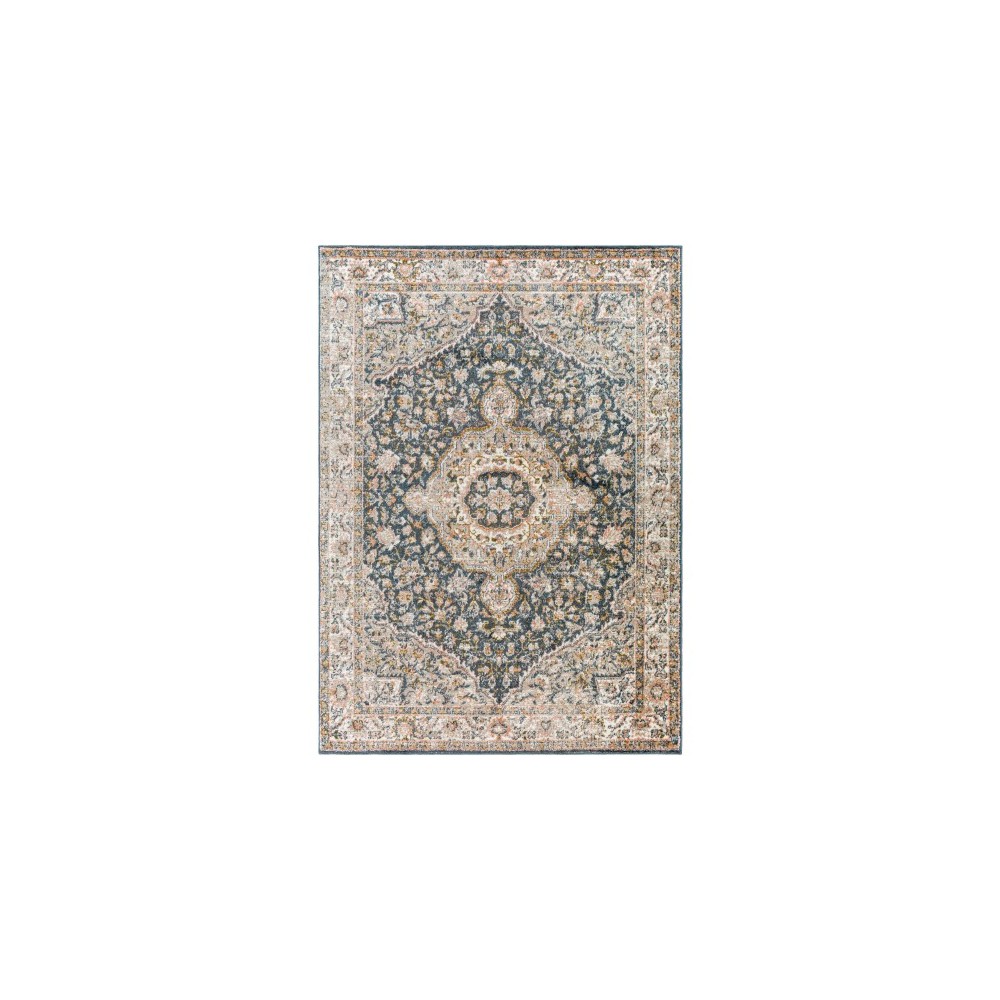 Surya Davaro Dav-2325 Rug 5'3" X 7'