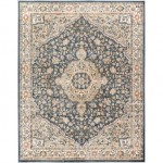 Surya Davaro Dav-2325 Rug 7'10" X 10'