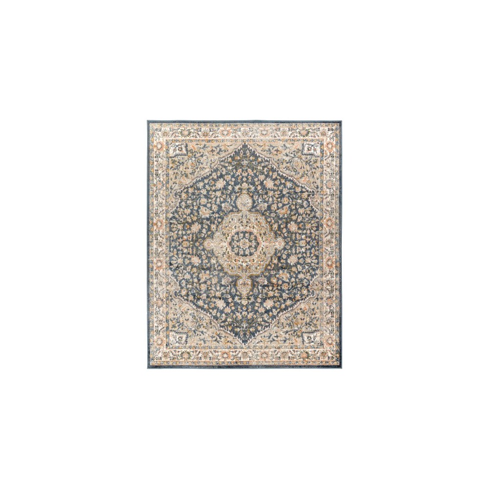 Surya Davaro Dav-2325 Rug 7'10" X 10'