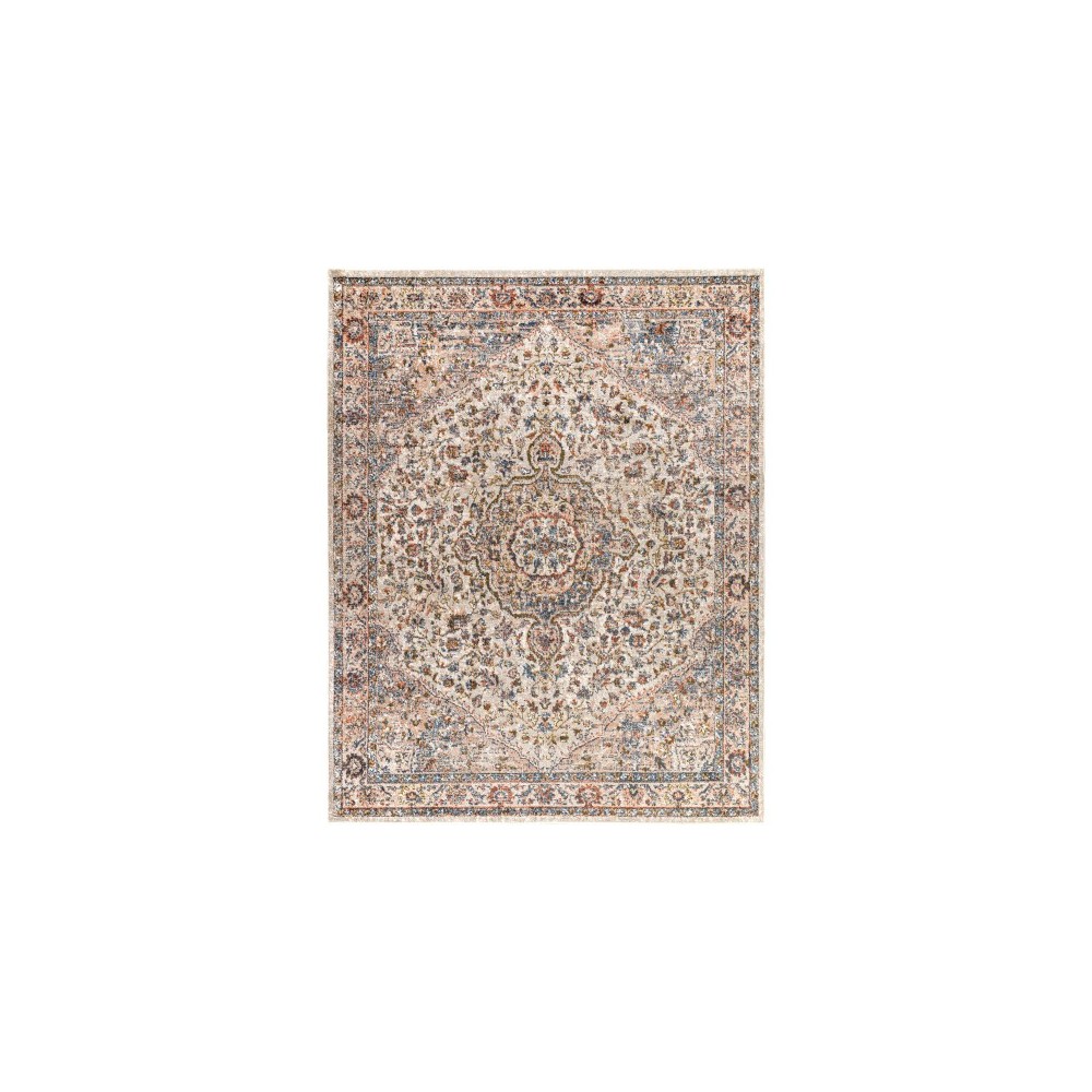 Surya Davaro Dav-2326 Rug 7'10" X 10'