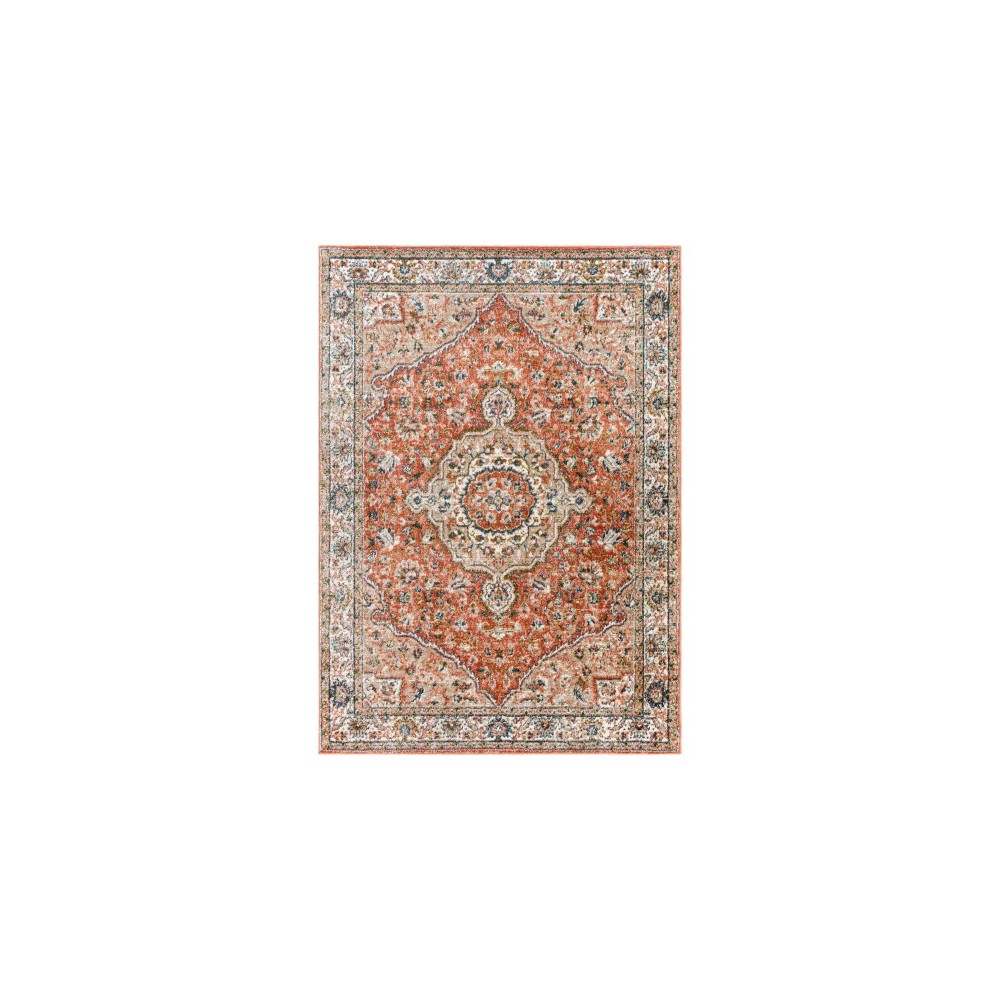 Surya Davaro Dav-2327 Rug 6'7" X 9'