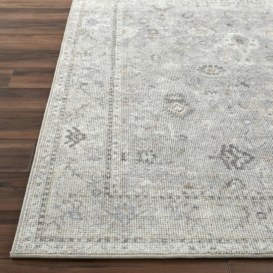 Surya Davina Bocc-2300 Rug 3'11" X 5'7"