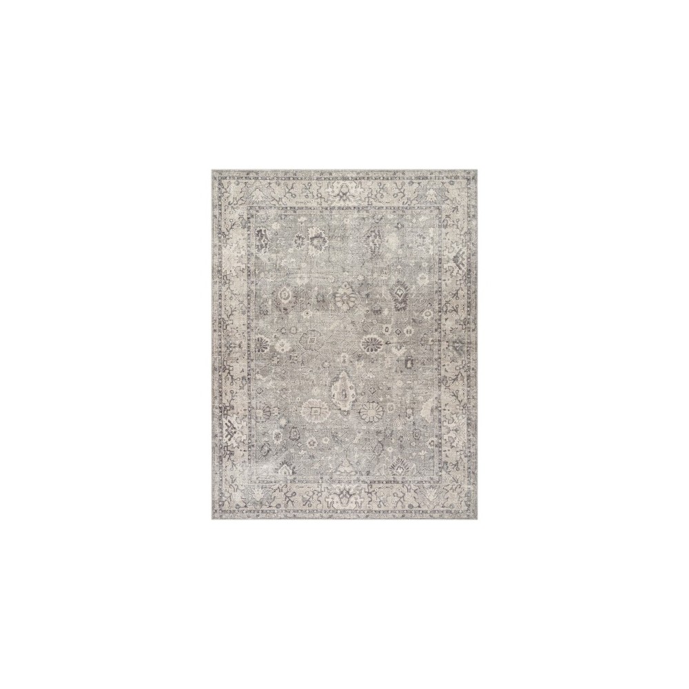 Surya Davina Bocc-2301 Rug 9'2" X 12'