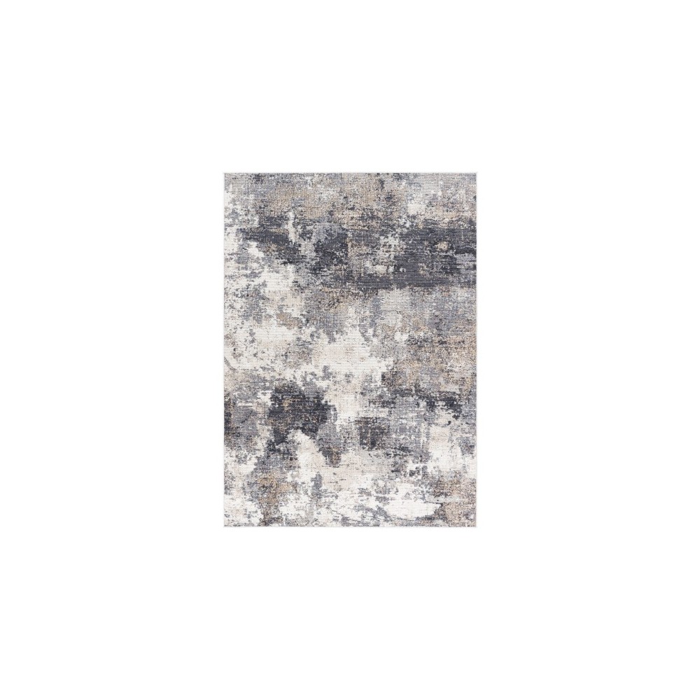 Surya Daytona Beach Medium Gray Rug 5'3" X 7'