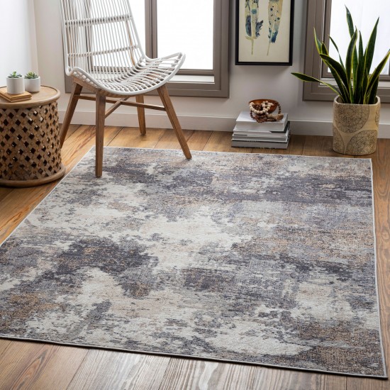 Surya Daytona Beach Medium Gray Rug 5'3" X 7'